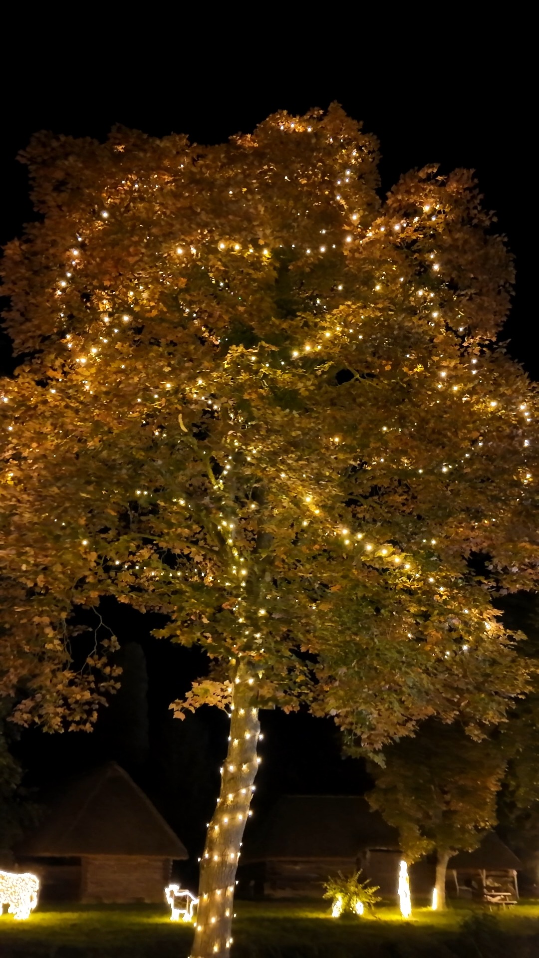 Príspevok #storyoflights